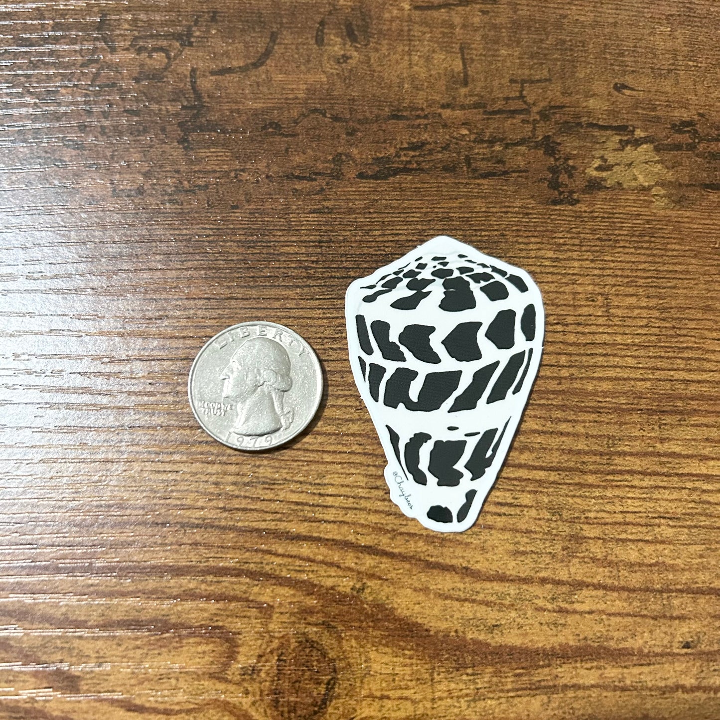 Hawaiian Hebrew Cone Shell Glossy Vinyl Sticker ( 1.8 x 2 inches )