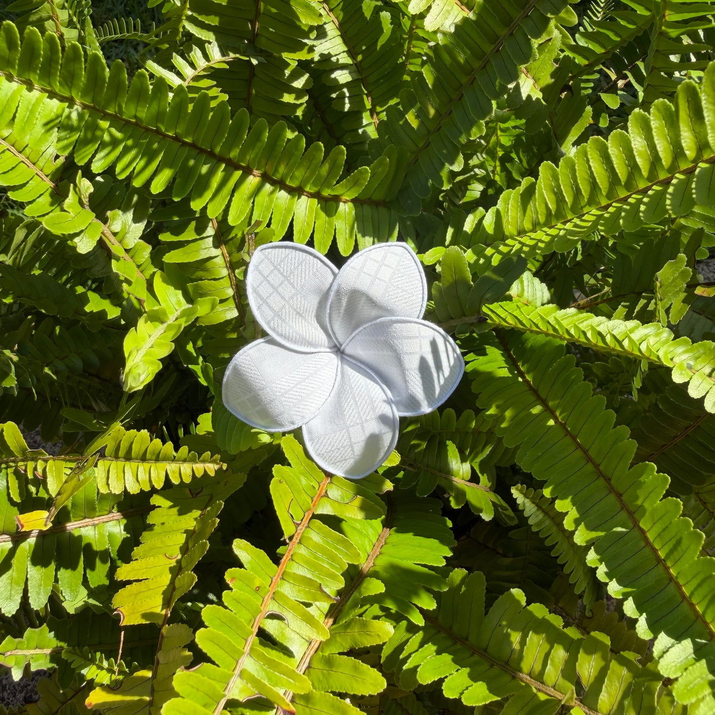 White Palaka Pua